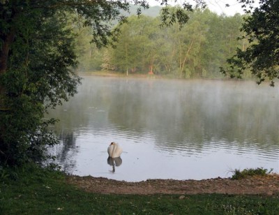 Swan Lake