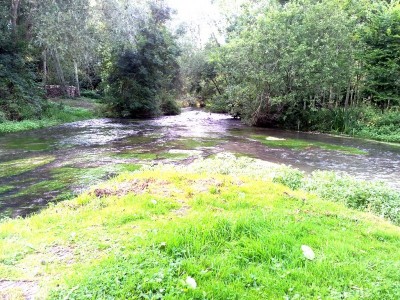 Mill river and canal